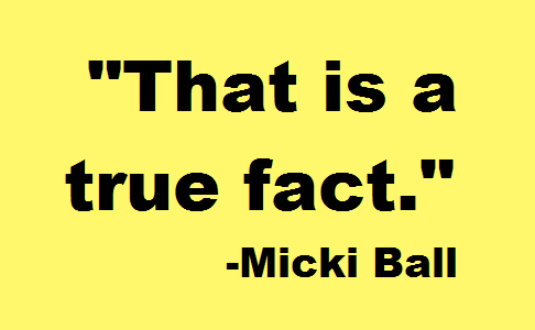 Alderman Micki Ball Hides Public Information