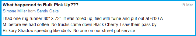 Mayor Micki Ball attacks disabled veteran 1